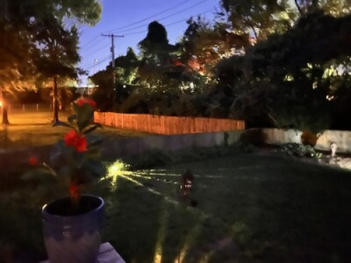 Zen garden, just off hiway - Gallery - 17