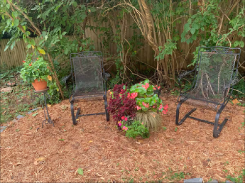 Zen garden, just off hiway - Gallery - 15