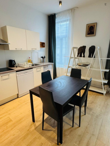 Tempting 1 Bedroom Apartment close to Clemenceau Metro - Gallery - 10