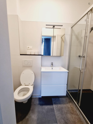 Tempting 1 Bedroom Apartment close to Clemenceau Metro