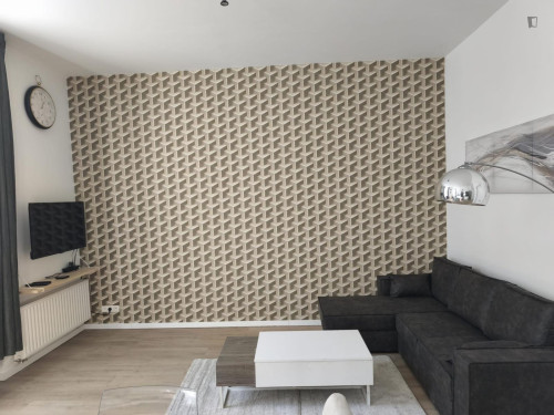 Thrilling 1 Bedroom Apartment close to  Bruxelles-Midi Train Station  - Gallery - 10