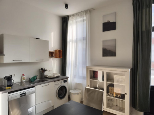 Thrilling 1 Bedroom Apartment close to  Bruxelles-Midi Train Station  - Gallery - 7