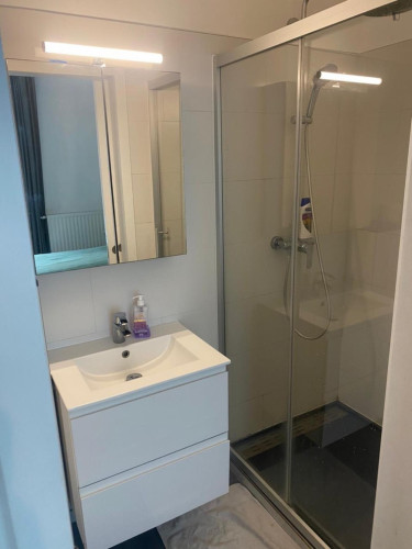 Thrilling 1 Bedroom Apartment close to  Bruxelles-Midi Train Station 