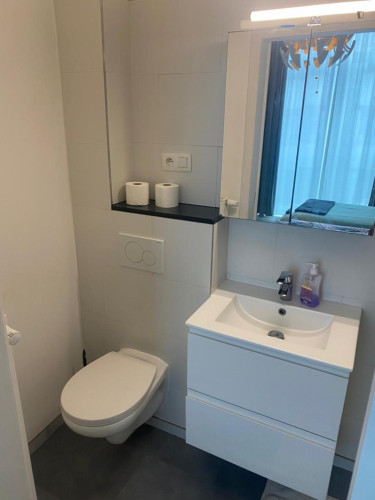 Thrilling 1 Bedroom Apartment close to  Bruxelles-Midi Train Station 