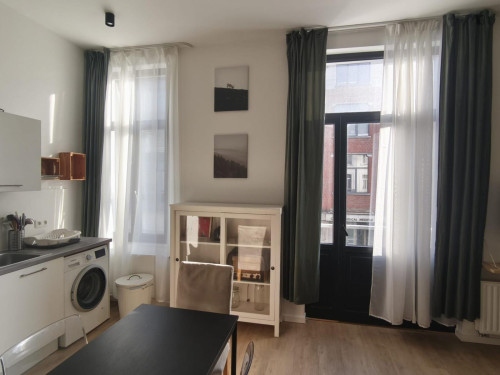 Thrilling 1 Bedroom Apartment close to  Bruxelles-Midi Train Station 