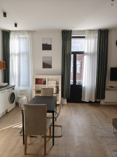 Thrilling 1 Bedroom Apartment close to  Bruxelles-Midi Train Station 