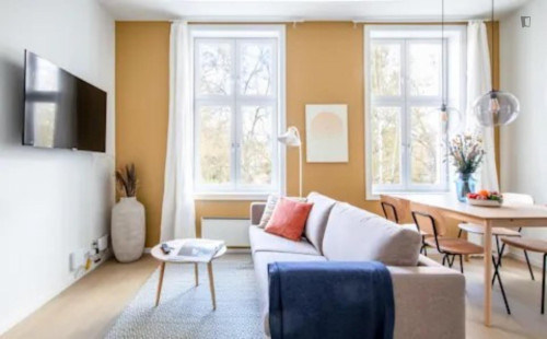 Homely double bedroom in Grünerløkka - Gallery - 11