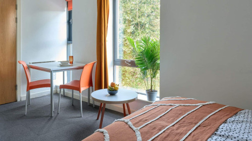 The Village at The Viaduct - Gallery - 16