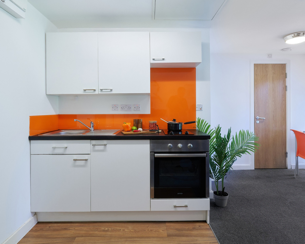 Platinum Studio - The Village at The Viaduct - Gallery - 4