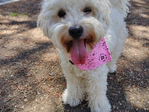 Room with option of Spanish classes