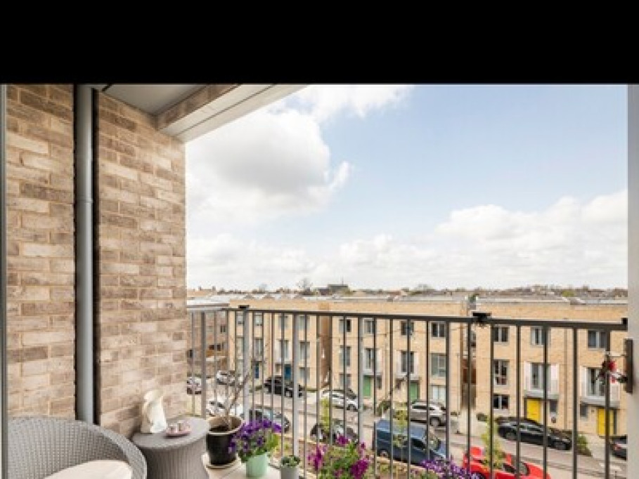 City Room