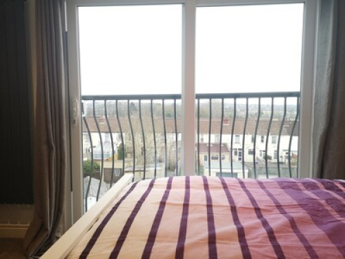 Single room available 