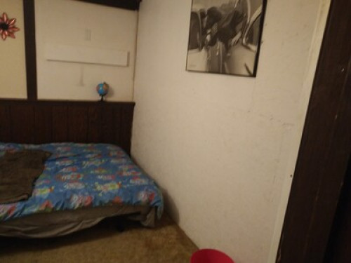 nice-safe-environment-for-you-edmonton-81405511920250228055847AM