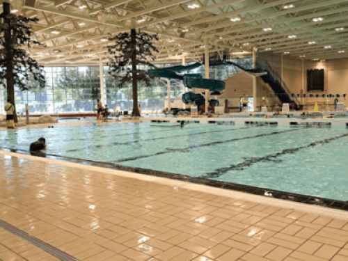 nice-safe-environment-for-you-surrey-28578471820250302052536AM