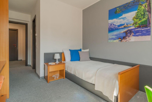 Luminous ensuite single bedroom in North Trento