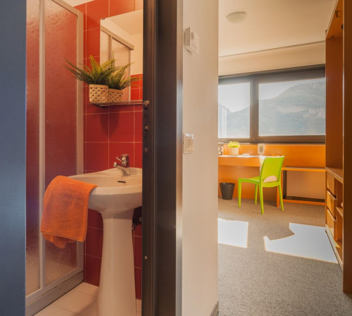 Cosy ensuite single bedroom in North Trento - Gallery - 5