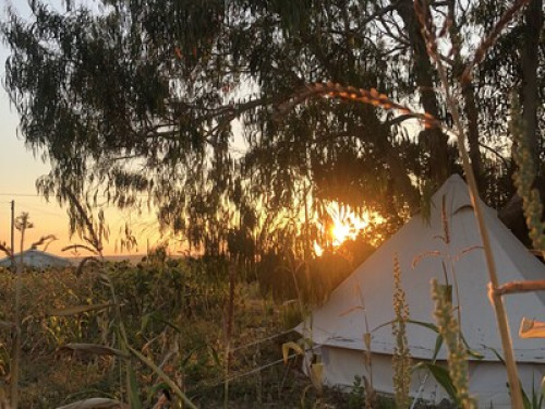 Cosy Glamping Stay