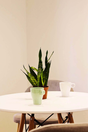 Carrer del Poeta Cabanyes  - Gallery -  5