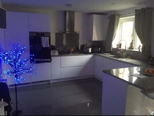  room to rent - Gallery - 7