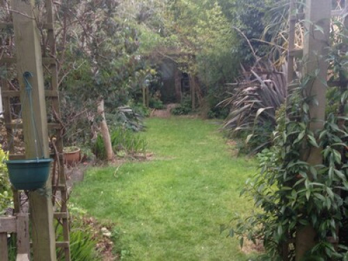 great-location-large-victorian-home-bristol-49154494120250301054346AM