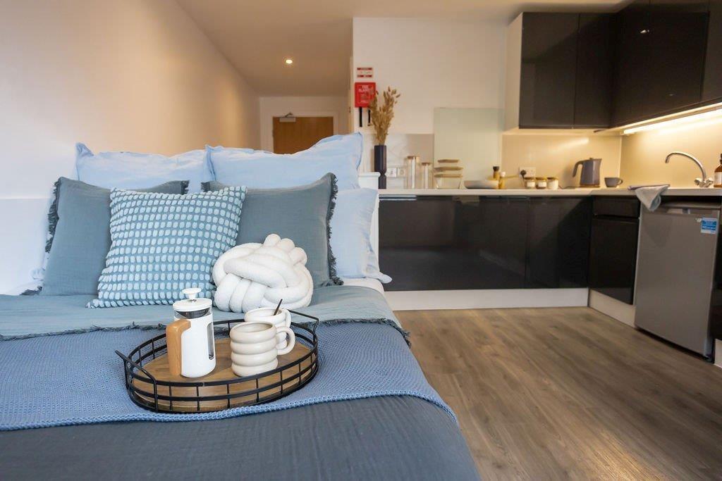  Super Elite Studio (Dual/Single) - (Extra Large Studio Dual Or Single Occupancy)  -  Palamon Court  - Gallery -  1