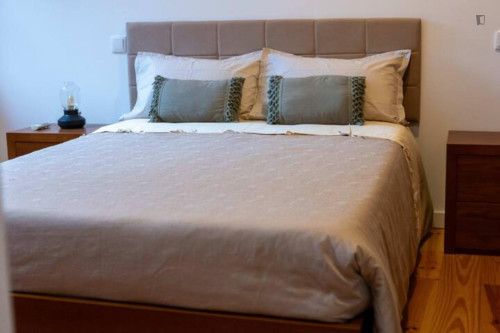 Comfortable and peaceful apartment in the heart of the city