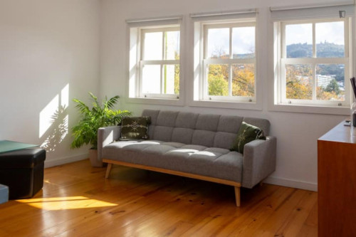 Comfortable and peaceful apartment in the heart of the city