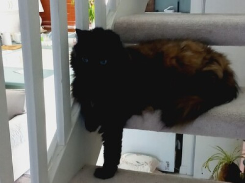 THE YAZ  - Gallery -  5