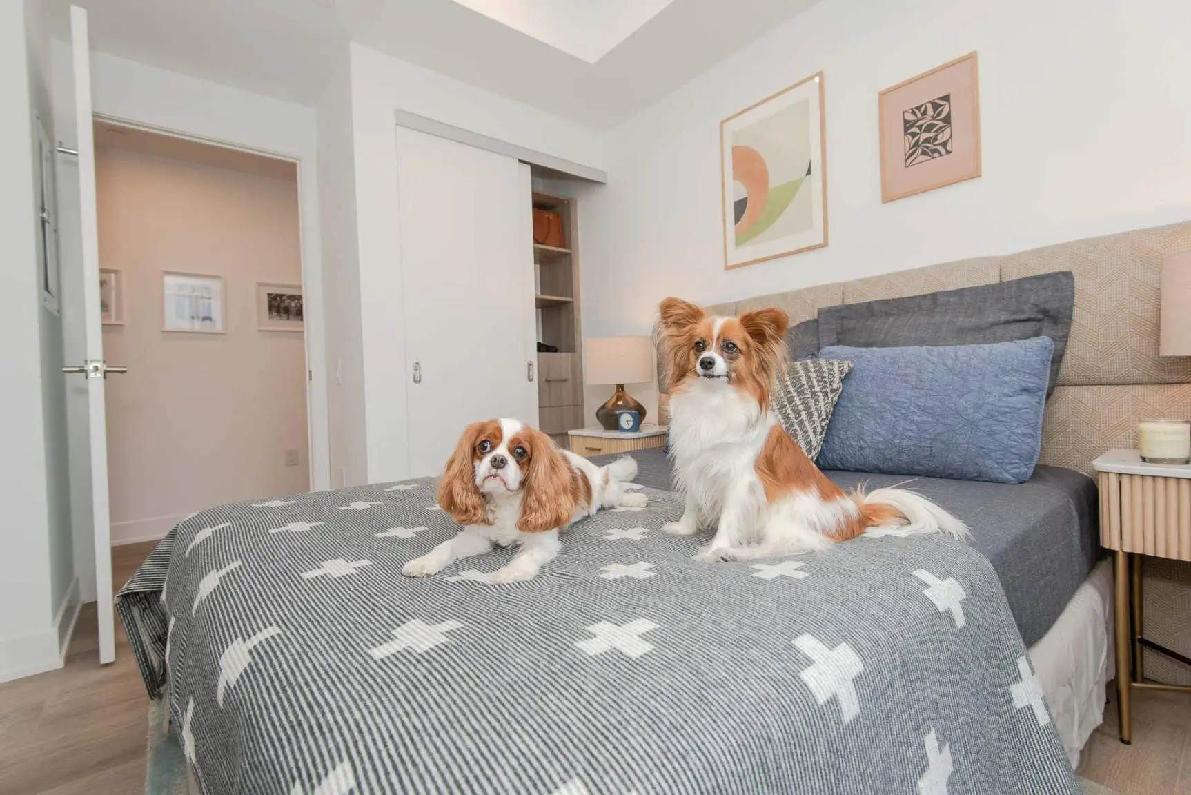  Single Studio  -  Spadina Residence  - Gallery -  3