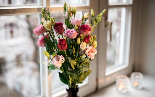 JUNIOR SUITE APARTMENTS  - Gallery -  5