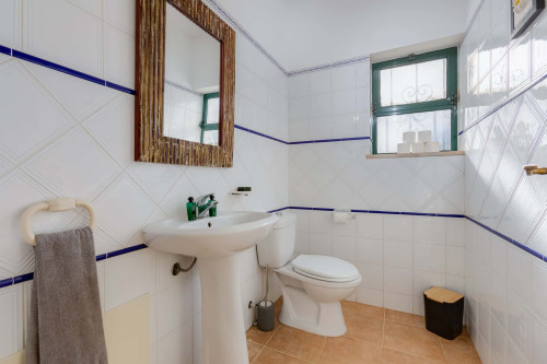 Charming House in Silves, Algarve (Only Available from October to June) - Gallery - 46