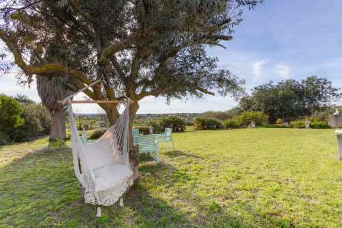 Charming House in Silves, Algarve (Only Available from October to June) - Gallery - 24