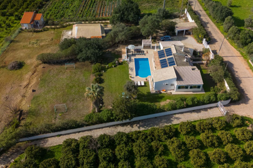 Charming House in Silves, Algarve (Only Available from October to June) - Gallery - 21