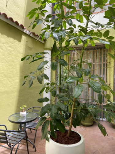 Santísima Home - Gallery - 68