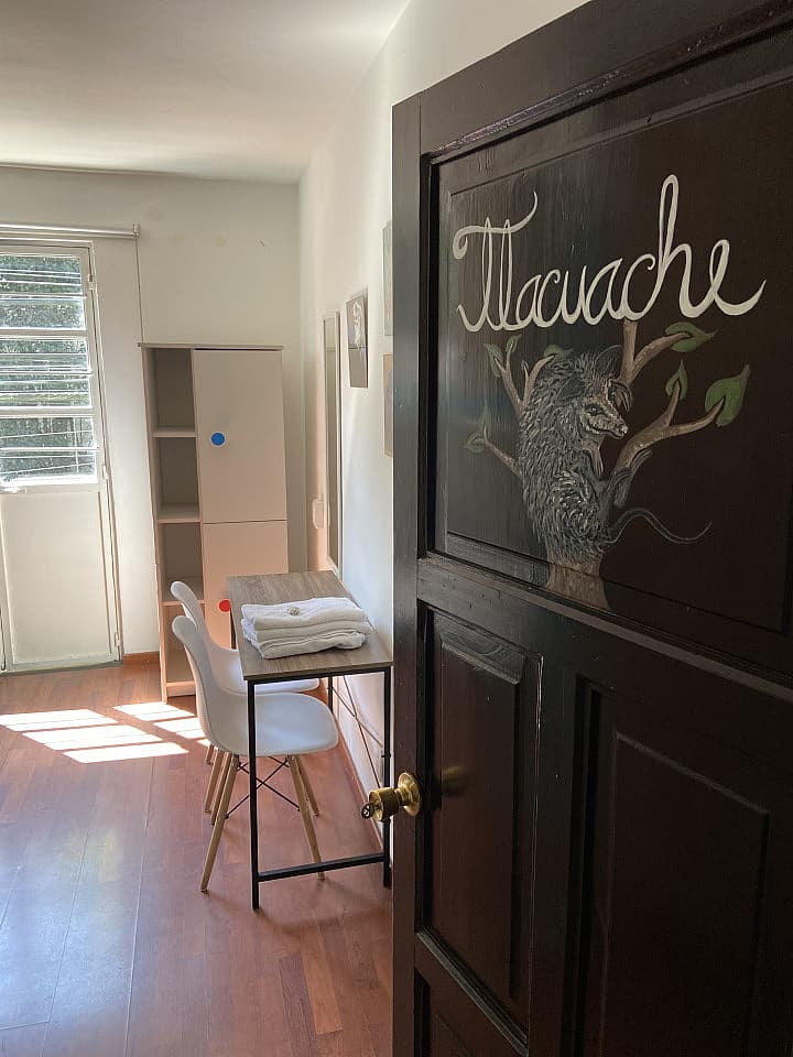 Tlacuache - Eco-Friendly Coliving Home with Sunny Terrace in Santa Cruz Atoyac - Gallery - 29