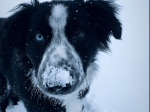 Private Room – Prime Seattle Spot!  - Gallery -  5