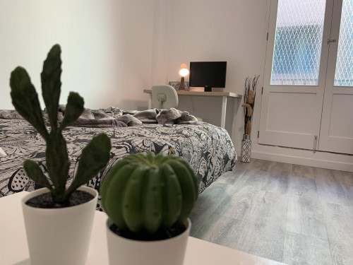 Pérez Del Toro Home - Gallery - 71