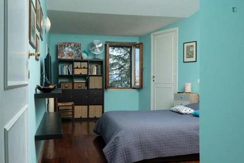 1-bedroom apartment