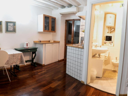 1-bedroom apartment, with outdoor area