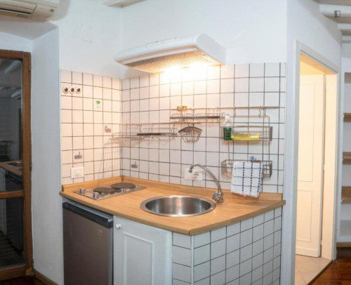 1-bedroom apartment, with outdoor area  - Gallery -  5