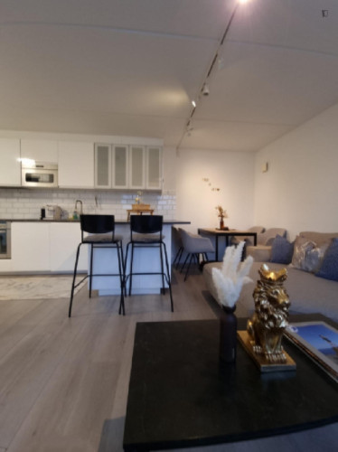 Penthouse in Oslo Central - Chimera Eiendom
