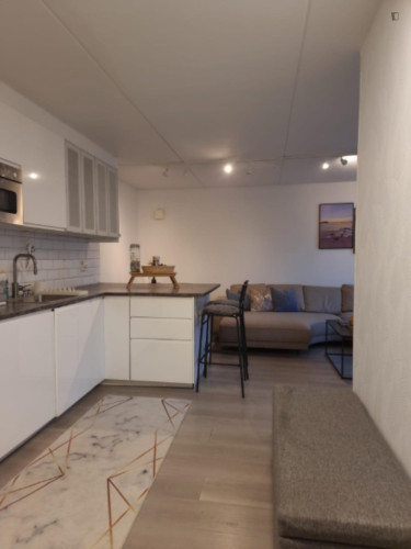 Penthouse in Oslo Central - Chimera Eiendom