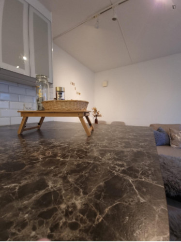 Penthouse in Oslo Central - Chimera Eiendom - Gallery - 7