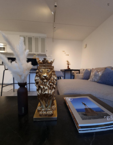 Penthouse in Oslo Central - Chimera Eiendom - Gallery - 33