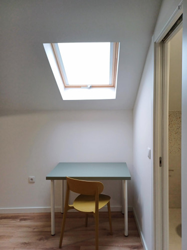 Cosy studio near the University of Coimbra