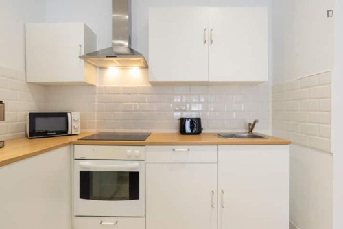 Pleasant 1-bedroom flat in the city centre