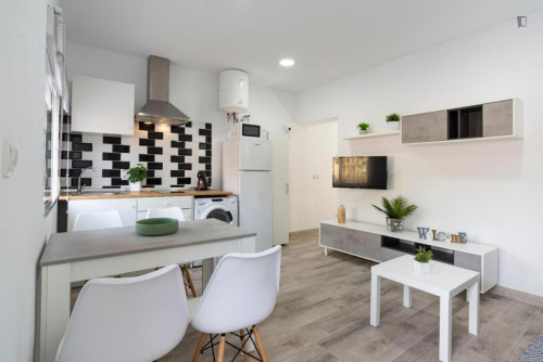 Cool 1-bedroom flat in Carretera de Cádiz