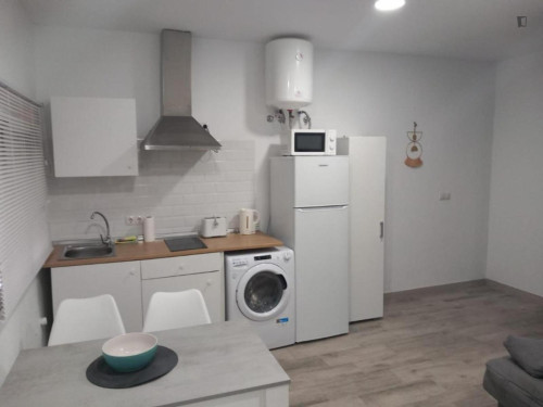 Comfortable 1-bedroom flat in Carretera de Cádiz  - Gallery -  5