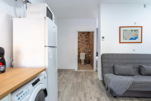 Comfortable 1-bedroom flat in Carretera de Cádiz