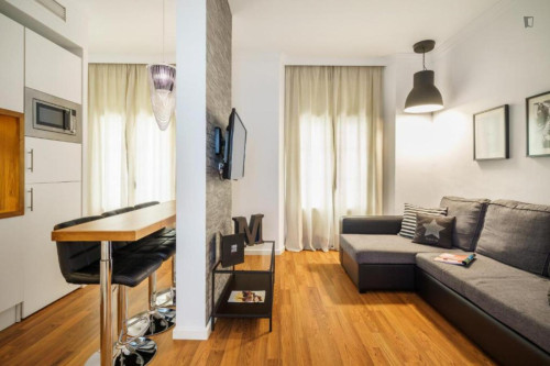 Dashing 1-bedroom apartment in La Victoria